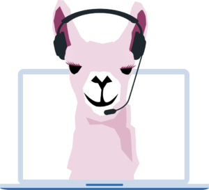 customer support llama with headset